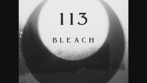 Bleach บลีช เทพมรณะ ตอนที่ 113